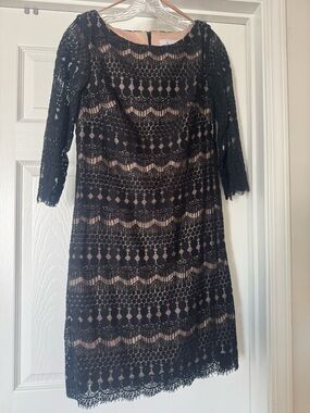 Black Lace Overlay Sheath Dress - Nude Lining